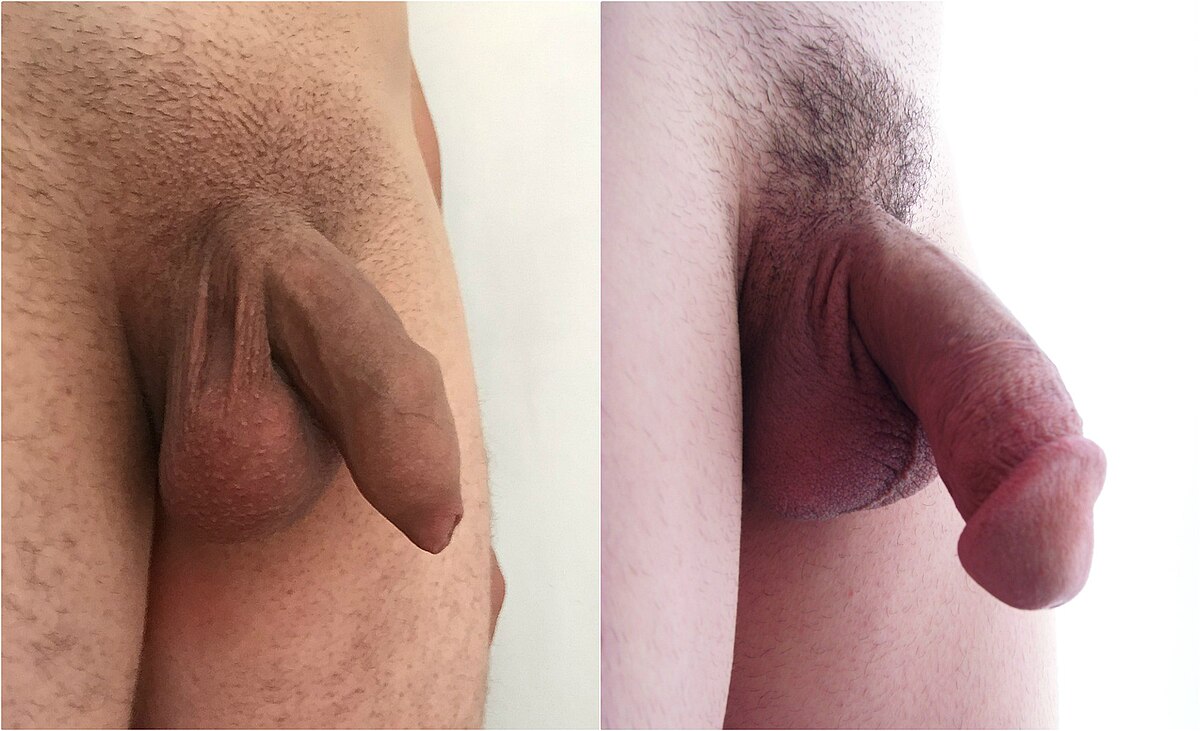 Guy with saggy uncircumcised dick porn