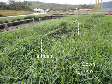 Constructed wetland (vertical flow) at Center for Research and Training in Sanitation, Belo Horizonte, Brazil