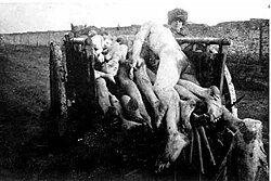 Victims of Soviet Famine 1922.jpg