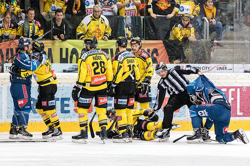 File:Vienna Capitals vs Fehervar AV19 -150.jpg