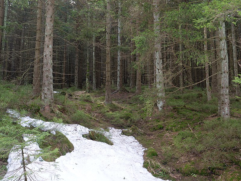 File:View from Rehberger Planweg 19.jpg