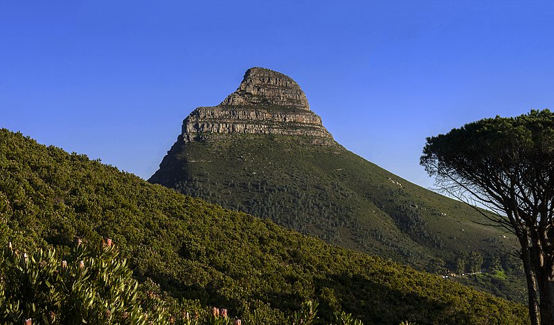 File:View to Lion's Head from slopes of Table Mountain.jpg