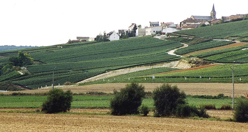 File:Village and vineyards in Champagne.jpg