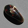 A freeform cabochon of black Virgin Valley wood replacement opal with red, blue and green fire showing against the dark base opal.