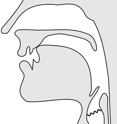 File:Voiced alveolar nasal.svg