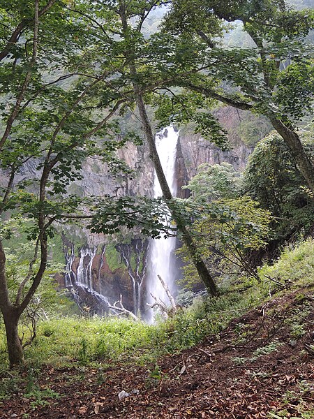 File:Vue des chutes de Kegon.jpg