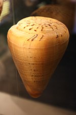 Miniatura para Conus betulinus