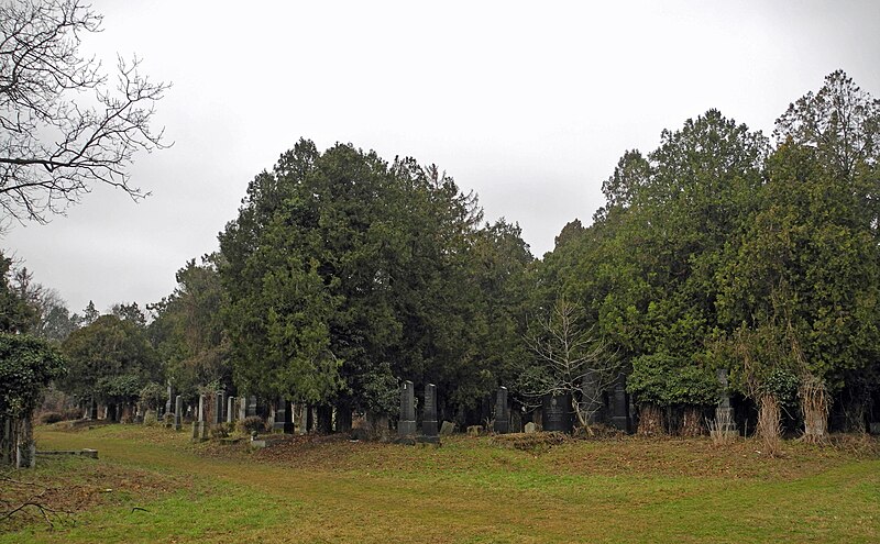 File:Wiener-Zentalfriedhof-Alter-Jüdischer-Teil-08.jpg