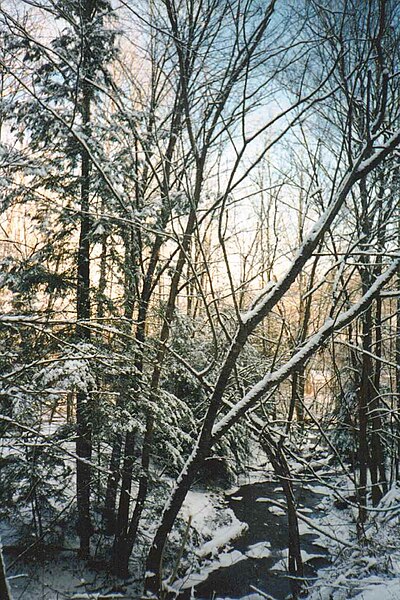 File:Winter Scene in East Otto, New York, January 1998.jpg