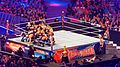 WrestleMania 32 2016-04-03 21-22-16 ILCE-6000 0279 DxO (27699711010).jpg