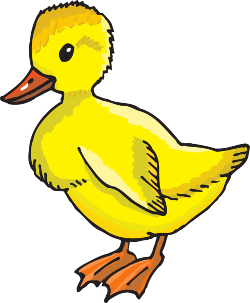 File:Yellow duckling.png