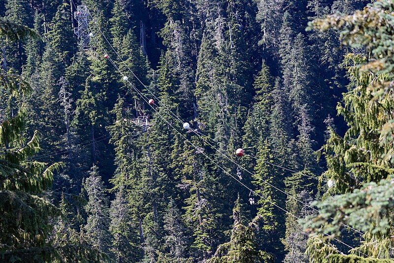 File:Ziplines Grouse Mountain Vancouver (30852419898).jpg