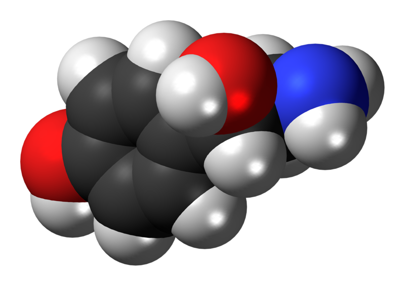 File:(S)-Octopamine molecule spacefill.png