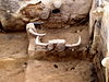 Çatalhöyük pohled 5.jpg