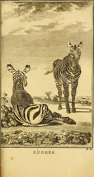 File:Œuvres complètes de M. le C(om)te de Buffon - histoire des animaux quadrupèdes (1775) (14595074490).jpg