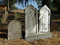 Čeština: Náhrobky na židovském hřbitově v obci Puklice, okres Jihlava. English: Gravestones in the Jewish cemetery in Puklice, Jihlava District, Vysočina Region, Czech Republic. This is a photo of a cultural monument of the Czech Republic, number: 27595/7-5155. Památkový katalog  · MIS  · hledat obrázky  · hledat seznamy  · Wikidata