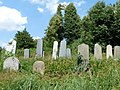 Čeština: Náhrobky na židovském hřbitově ve Zbraslavicích, okres Kutná Hora. English: Gravestones in the Jewish cemetery in Zbraslavice, Kutná Hora District, Central Bohemian Region, Czech Republic. This is a photo of a cultural monument of the Czech Republic, number: 37841/2-1234. Památkový katalog  · MIS  · hledat obrázky  · hledat seznamy  · Wikidata