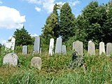 Čeština: Náhrobky na židovském hřbitově ve Zbraslavicích, okres Kutná Hora. English: Gravestones in the Jewish cemetery in Zbraslavice, Kutná Hora District, Central Bohemian Region, Czech Republic.