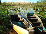 Озеро лотосів