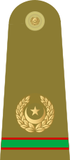 10.Pakistan Army-SMCWO.svg