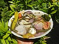 Thumbnail for File:1466Cuisine of Bulacan Sinigang 48.jpg