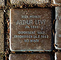 Stolperstein für Arthur Levy (Fischenicher Straße 56)