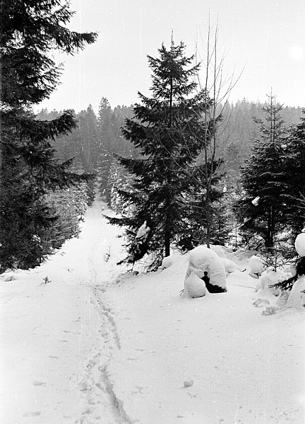 File:19700115150NR Rothenthal (Olbernhau) Weg zum Stößerfelsen.jpg