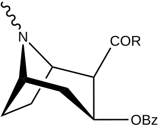 197a-d.svg