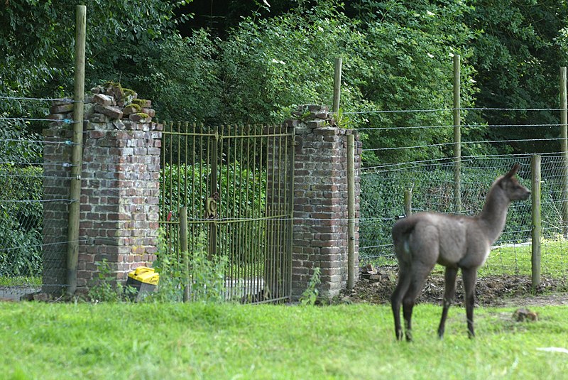 File:19de eeuwse smeedijzeren barrier - 373758 - onroerenderfgoed.jpg