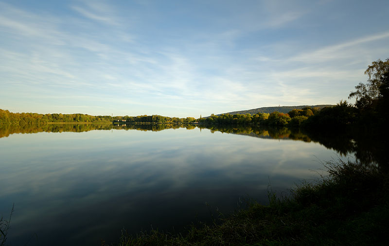 File:2014-09-28 18-16-44 veronne.jpg