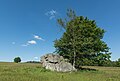 * Nomination Łężyckie Skałki, Stołowe Mountains, Sudetes 2 --Jacek Halicki 09:18, 8 November 2015 (UTC) * Promotion Good quality. --Cccefalon 09:32, 8 November 2015 (UTC)