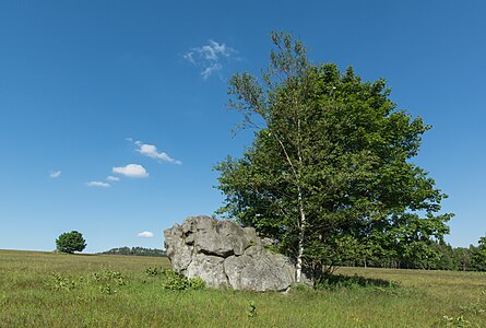 Łężyckie Skałki, Stołowe Mountains, Sudetes