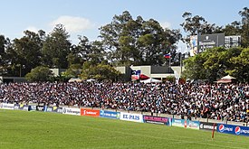 The crowd during a rugby match in 2015