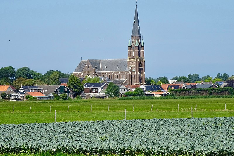 File:20180712 Zicht op Wervershoof met Sint-Werenfriduskerk1.jpg