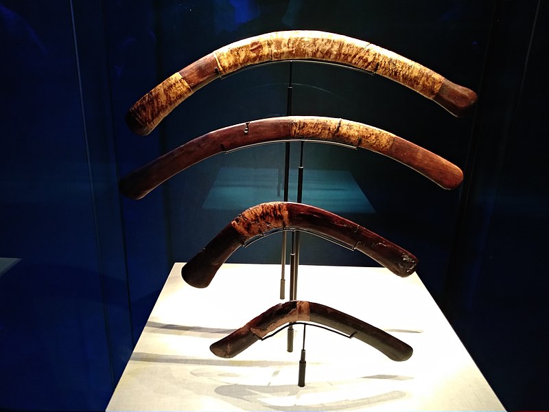 File:4 boomerangs du tombeau de Toutânkhamon.jpg