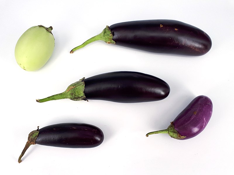 File:5 x Small eggplant 2017 B.jpg