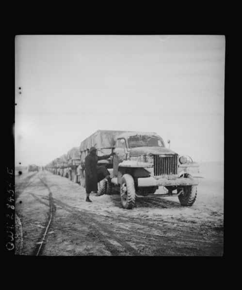 File:A United States Army truck convoy carrying supplies for Russia, 8d29573a.tif