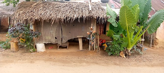 A palmwine tapper home and shop. Photographer : Bibiire1