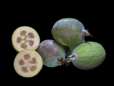 میوه فیجوا