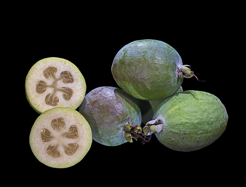 File:Acca sellowiana Fruit MHNT Fronton.jpg