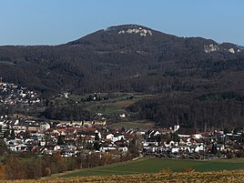 Aesch Bl: Geographie, Geschichte, Wappen