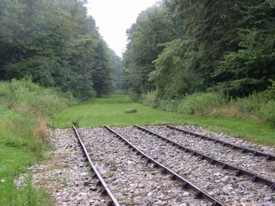 Incline 6 Trail and Recreated Tracks