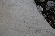 English: Rock art in the world heritage area in Alta, Norway. This is from the area Bergbukten 8a, a group of 30 figures. 23 m above sea level, and 6000-7000 years old. These have not been painted.