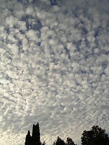 Altocumulus stratiformis am Morgen.jpg