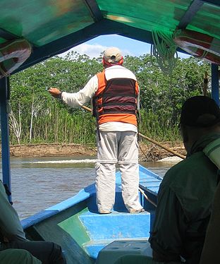 Boat pilot on Tambopata River (Peru)