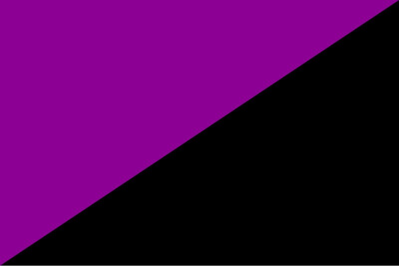 File:Anarchist Feminism flag 3.2 ratio.svg