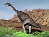 Restoration of the Early Jurassic sauropodomorph dinosaur Anchisaurus Anchisaurus NT.jpg