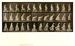 Animal locomotion. Plate 487 (Boston Public Library).jpg