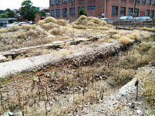 Archaeological excavation at the site of the 18th-century Golden Ball Tavern Archaeological dig at petersburg, virginia.jpg