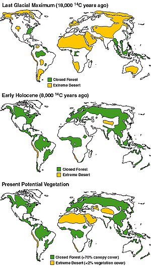 Top: Arid ice age climate
Middle: Atlantic Period, warm and wet
Bottom: Potential vegetation in climate now if not for human effects like agriculture. Aridity ice age vs early holocene vs modern.jpg